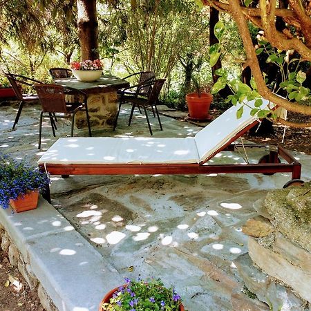 Casa Visnenza Bed & Breakfast Capo di Ponte Екстер'єр фото